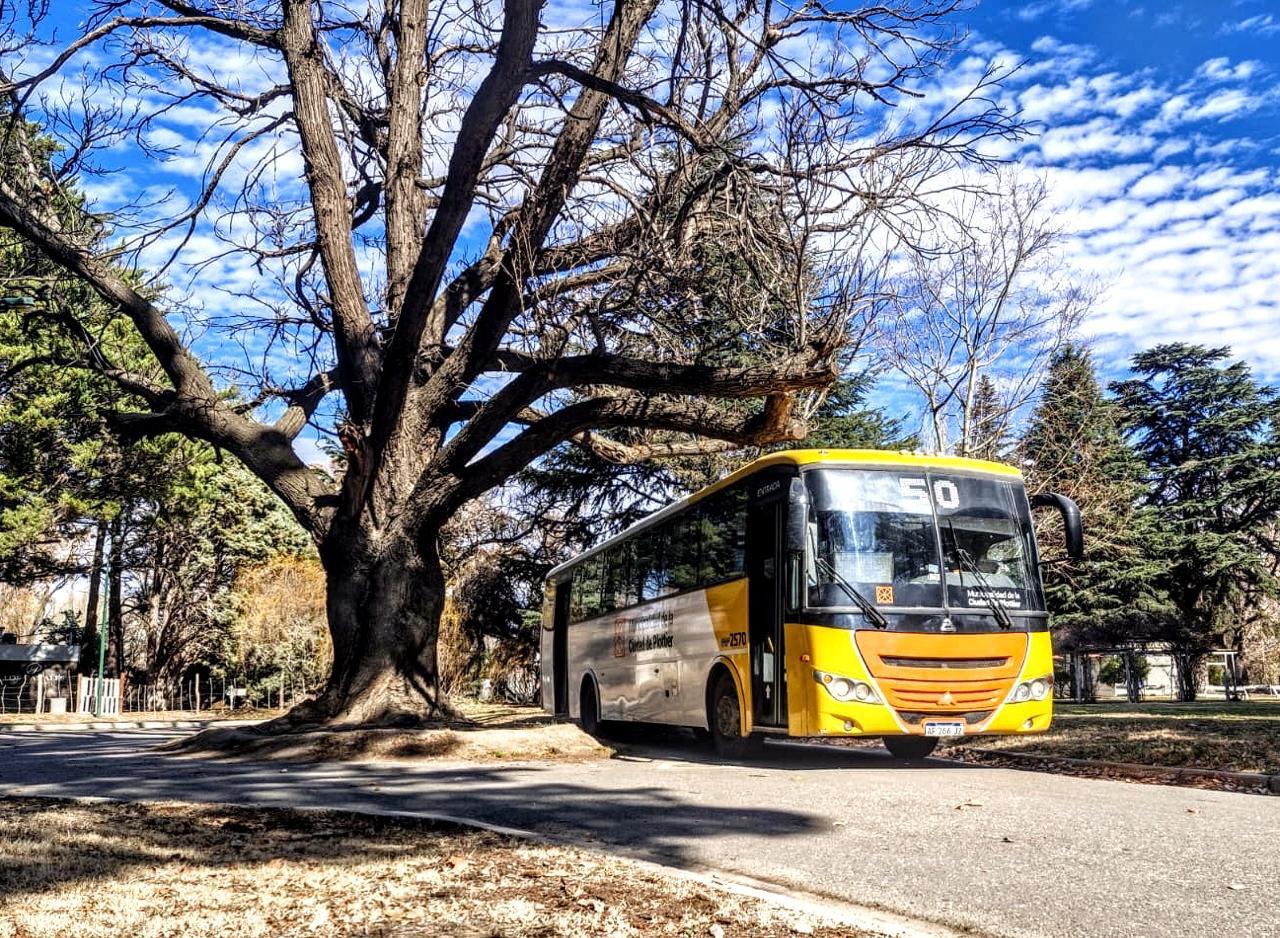 Colectivo de Transporte Público Plottier en la ciudad